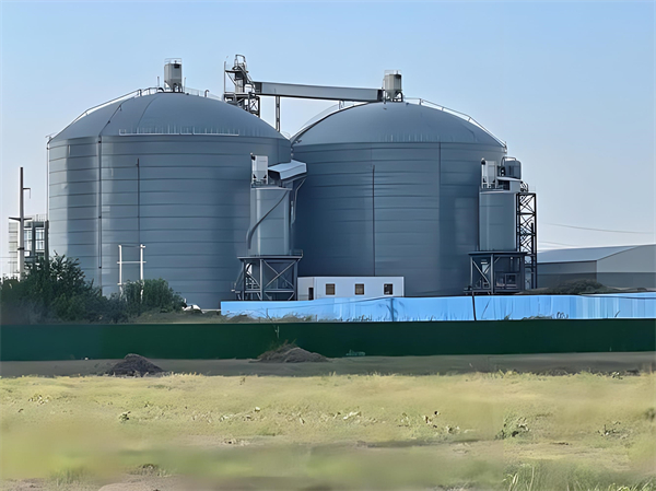 静海钢板仓建造施工方案详解